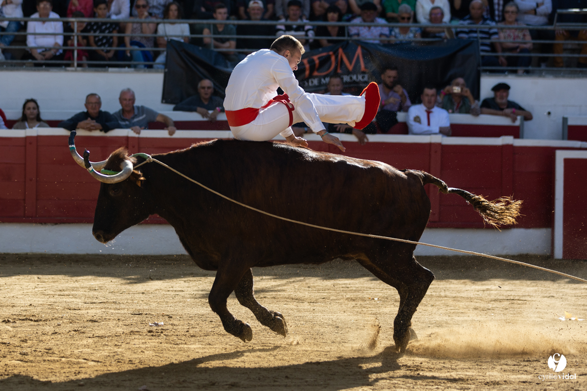 Nogaro Championnat de France de course landaise 2022
