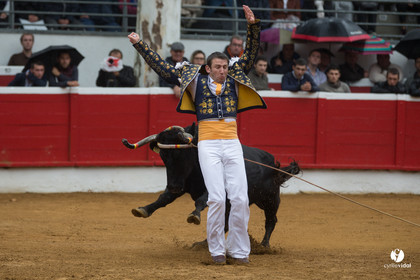 Nogaro Championnatde France de Course Landaise 2017