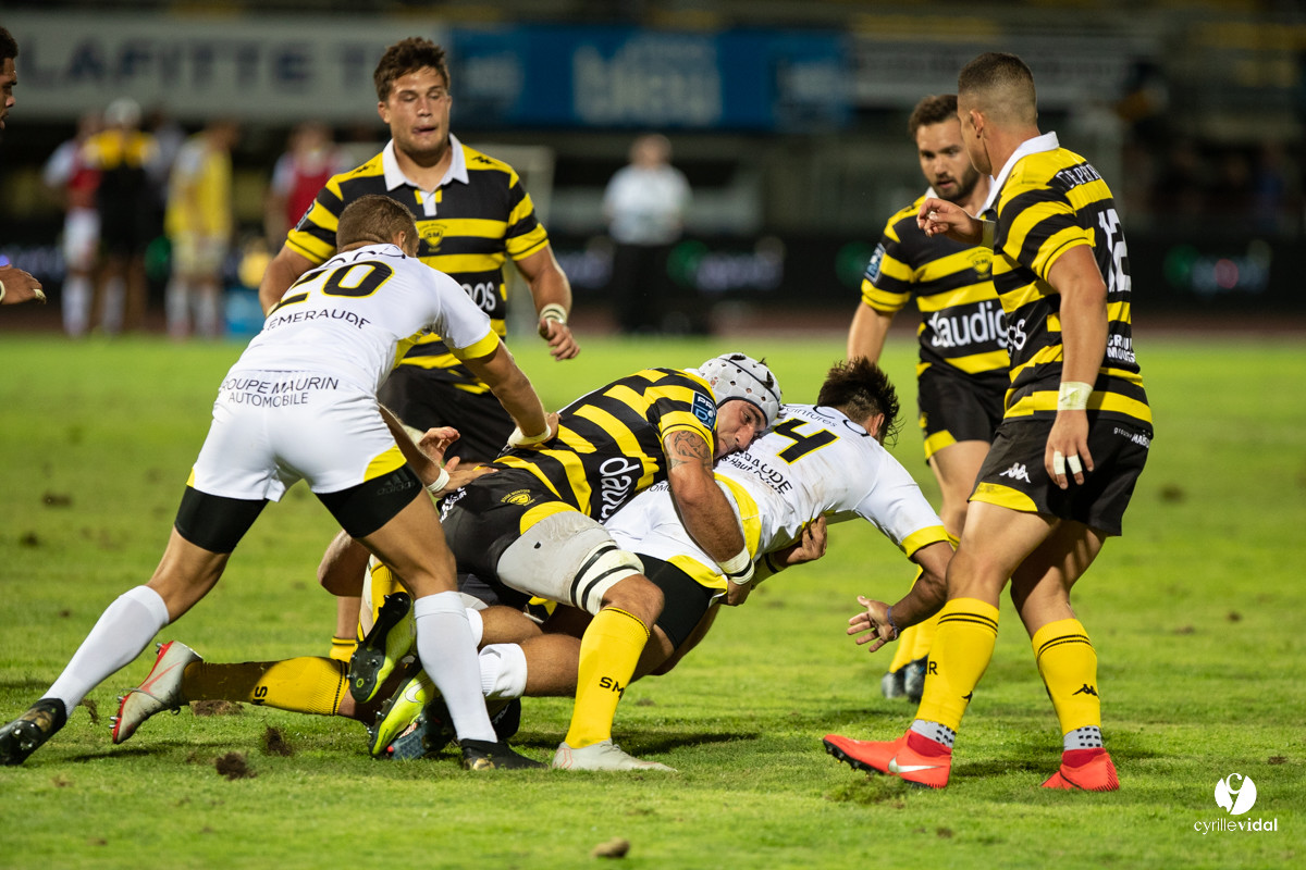 Stade Montois Rugby - Carcassonne