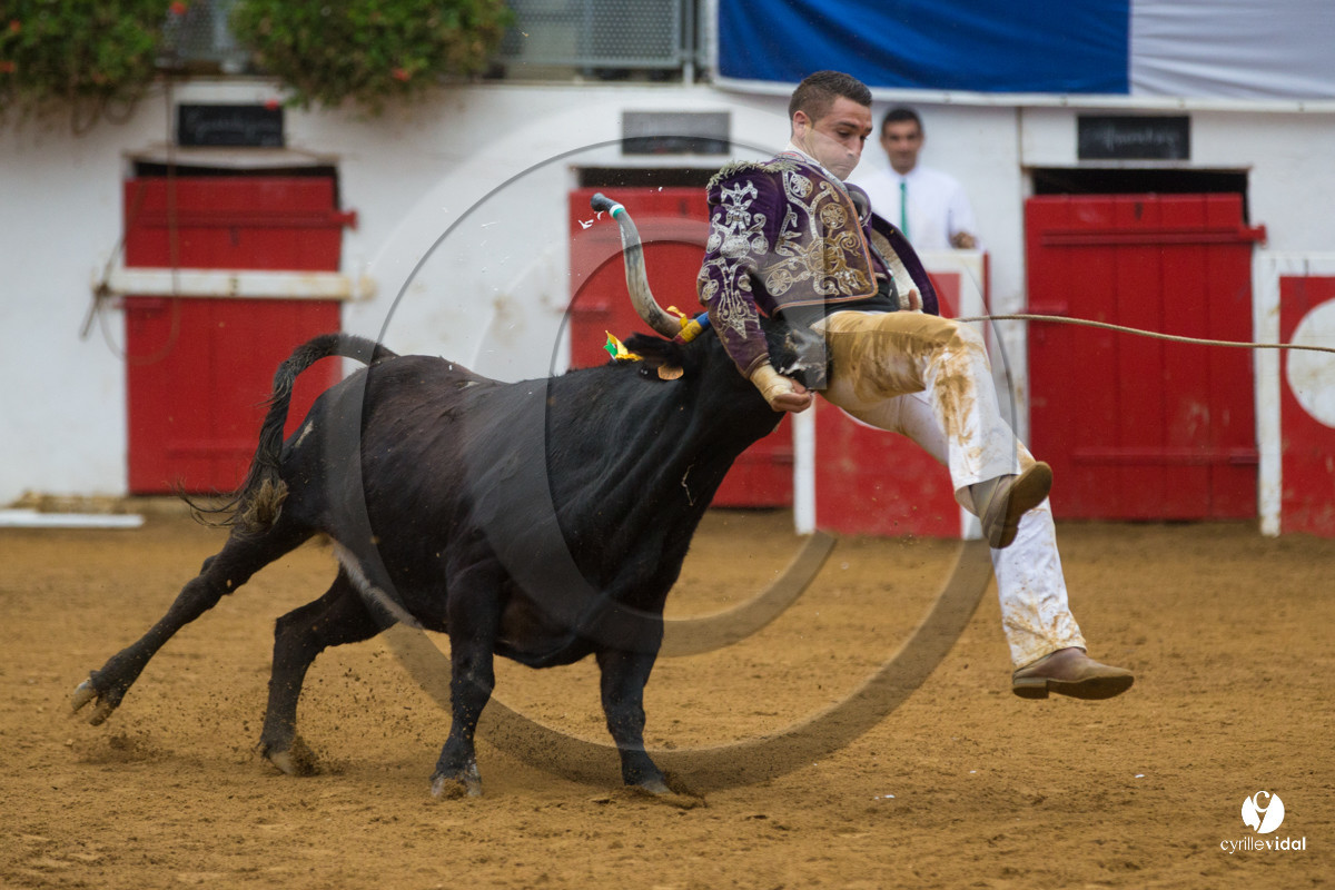 Nogaro Championnatde France de Course Landaise 2017