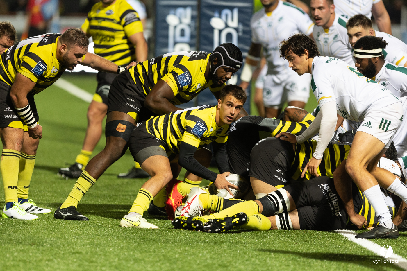 Stade Montois Rugby - Montauban