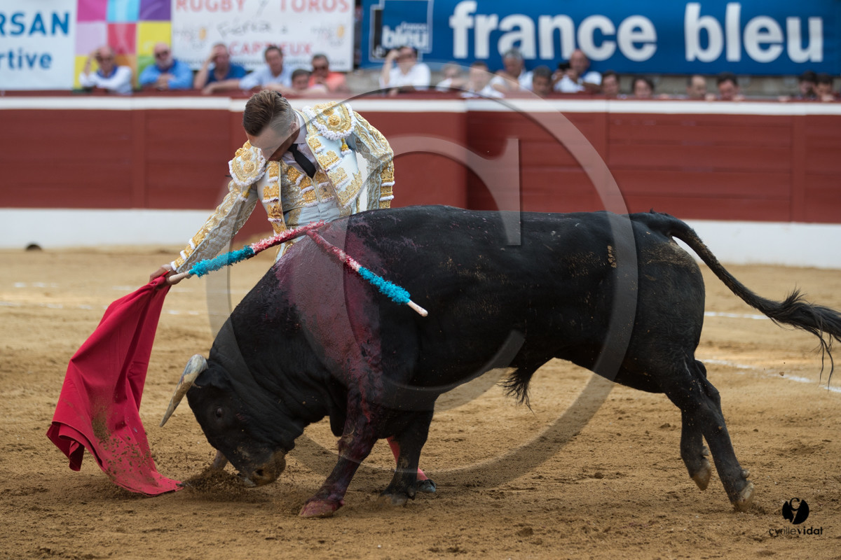 Mont-de-Marsan corrida de Garcigrande pour El Juli et Juan Bautista
