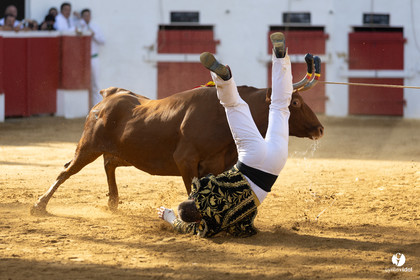 Nogaro Championnat de France de course landaise 2022