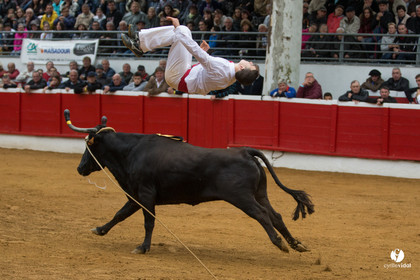 Nogaro Championnatde France de Course Landaise 2017