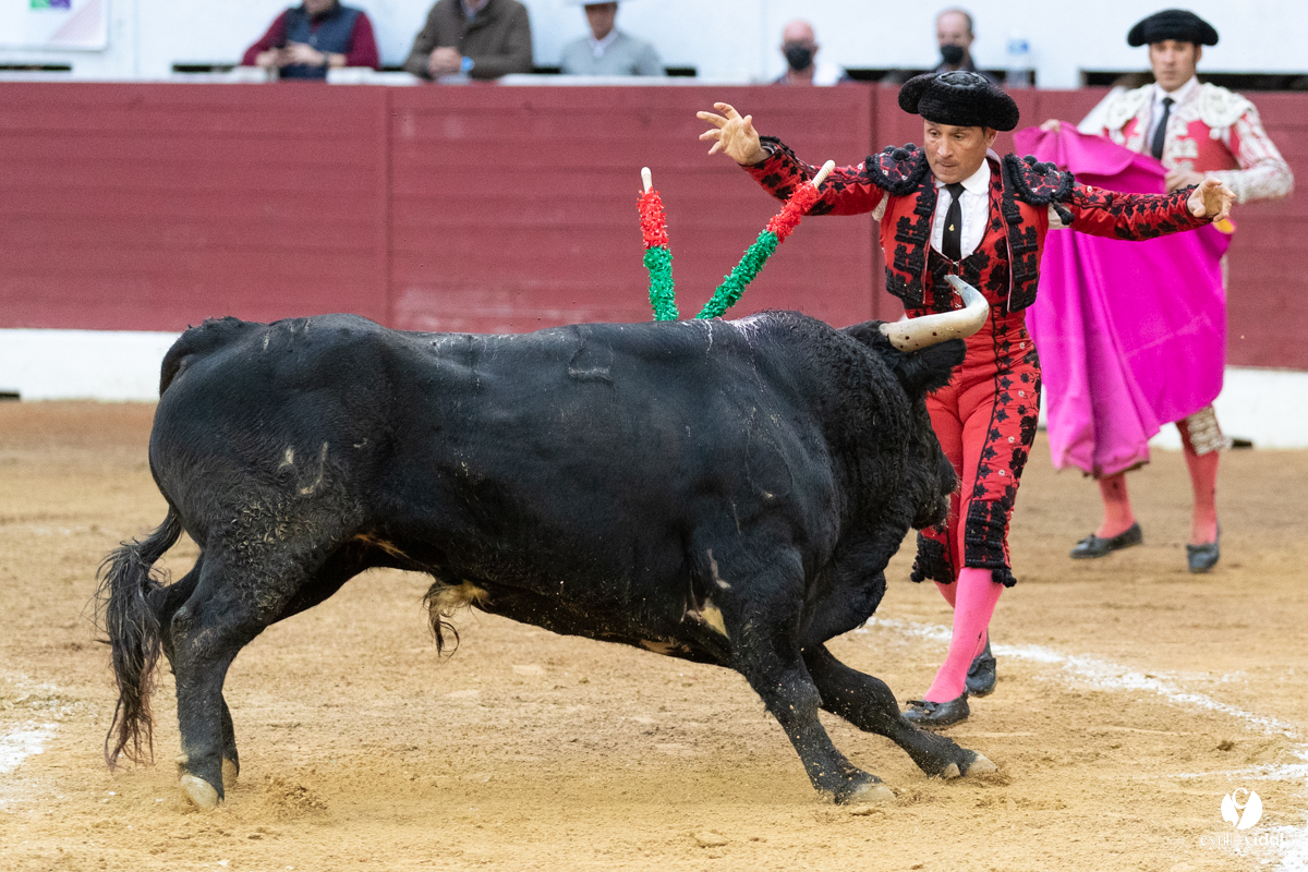 Corrida d'Aire sur l'Adour