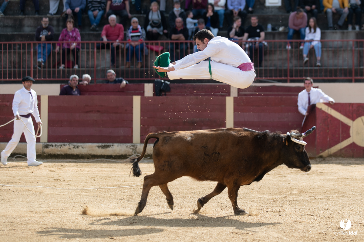 Course landaise Le Houga Ganadéria Dussau Cuadrilla Alexandre Brethes