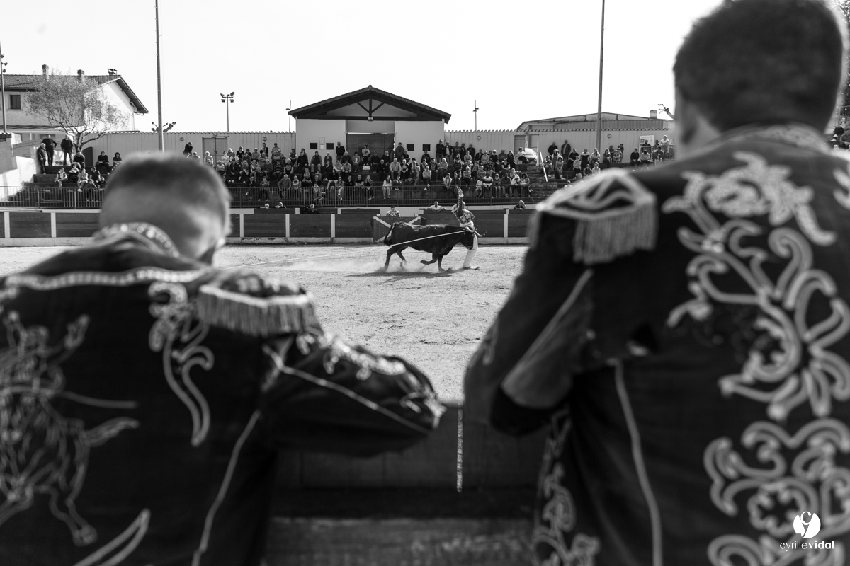 Course landaise Le Houga Ganadéria Dussau Cuadrilla Alexandre Brethes