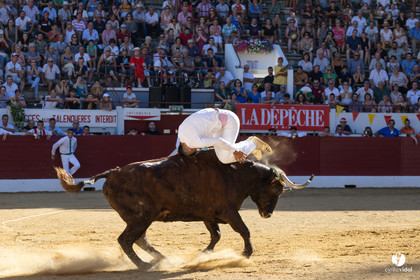 Aire-sur-l'Adour Championnat de France de course landaise 2023