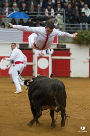 Nogaro Championnatde France de Course Landaise 2017
