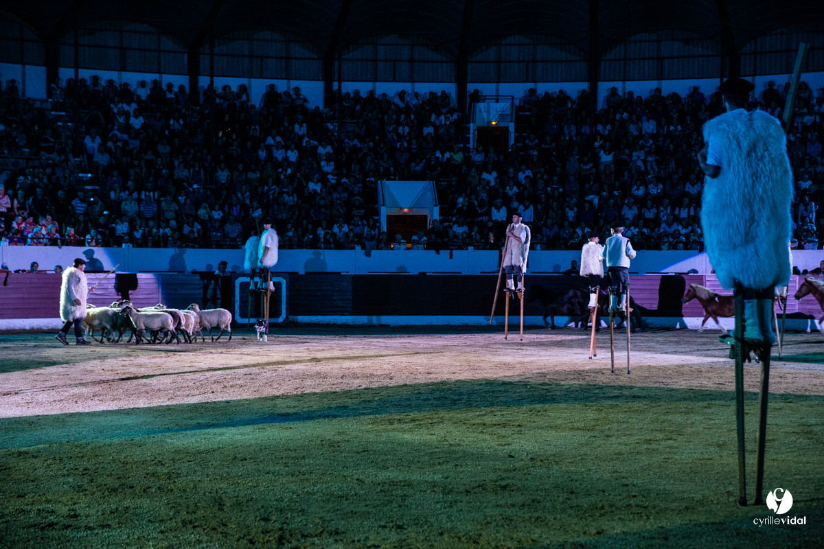 Landes émotions à Aire-sur-l'Adour