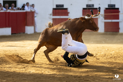 Nogaro Championnat de France de course landaise 2022