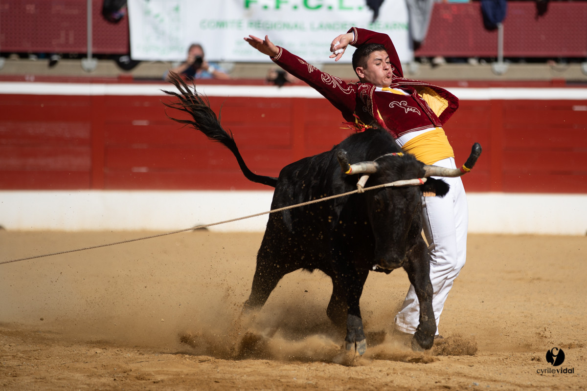 Mont-de-Marsan championnat de France de course landaise 2019
