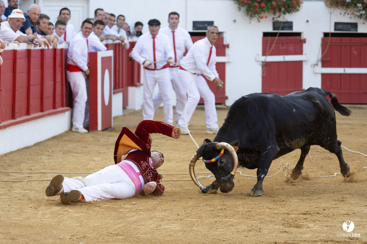 Nogaro Corne d'Or 2023