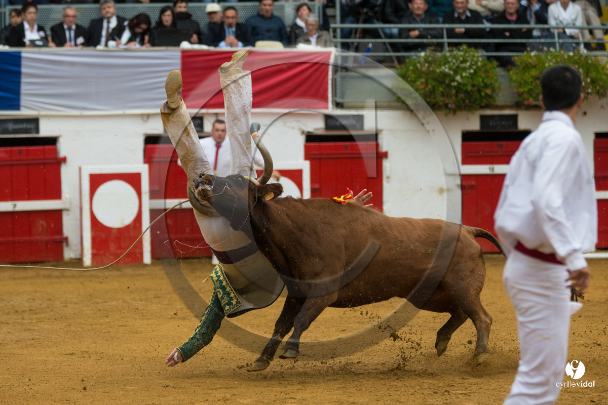 Nogaro Championnatde France de Course Landaise 2017