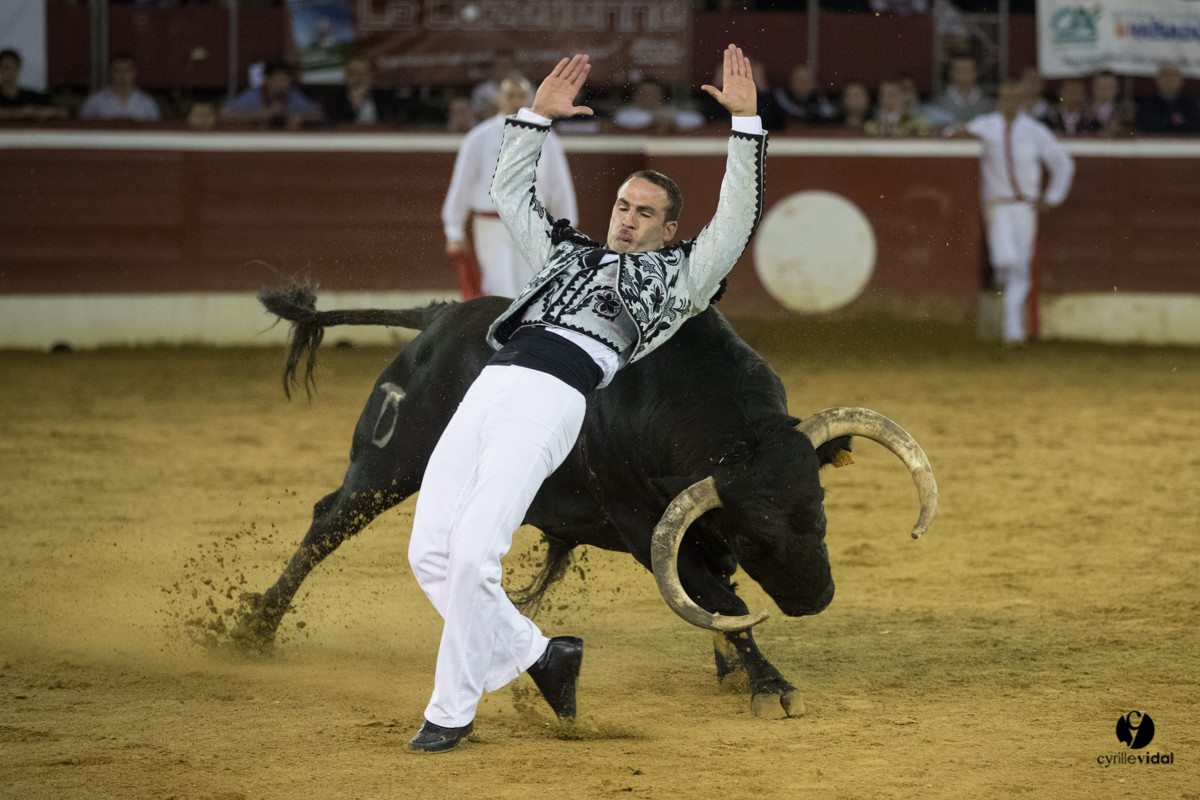 Mont-de-Marsan festival Art et Courage