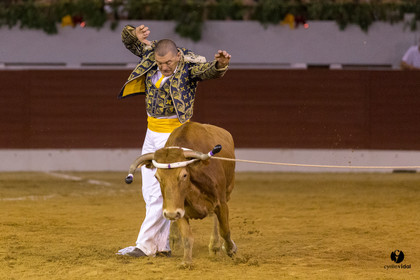 Aire sur l'Adour course landaise génération Aturine