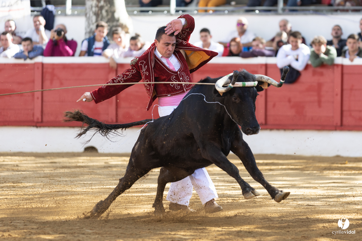 Nogaro Championnat de France de course landaise 2022