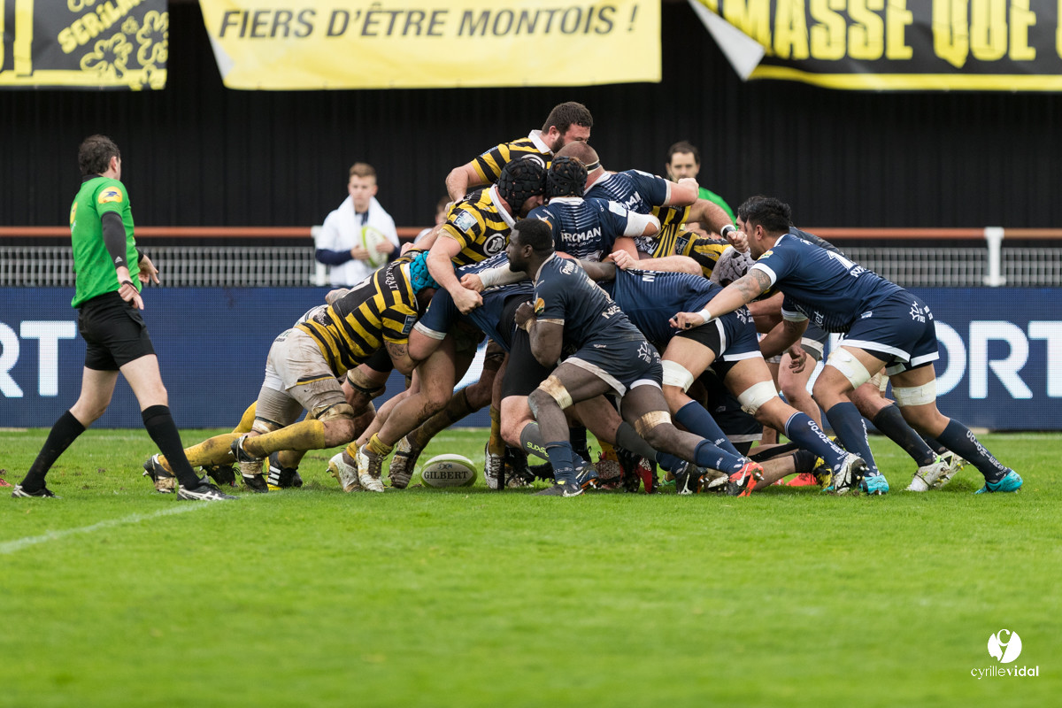 Stade Montois Rugby - Colomiers
