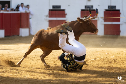 Nogaro Championnat de France de course landaise 2022