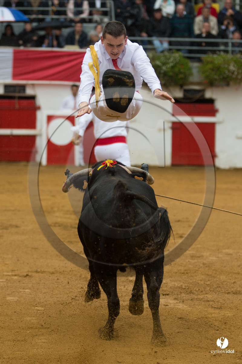 Nogaro Championnatde France de Course Landaise 2017