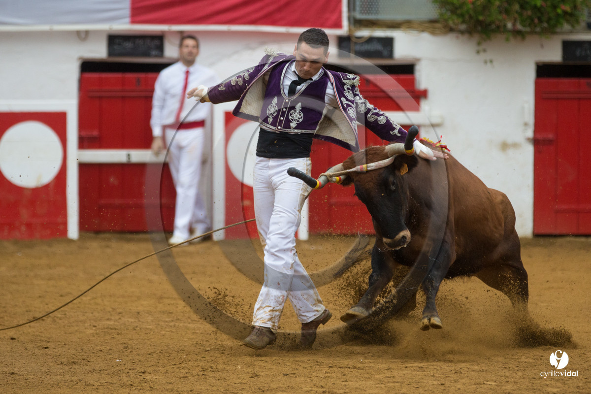 Nogaro Championnatde France de Course Landaise 2017