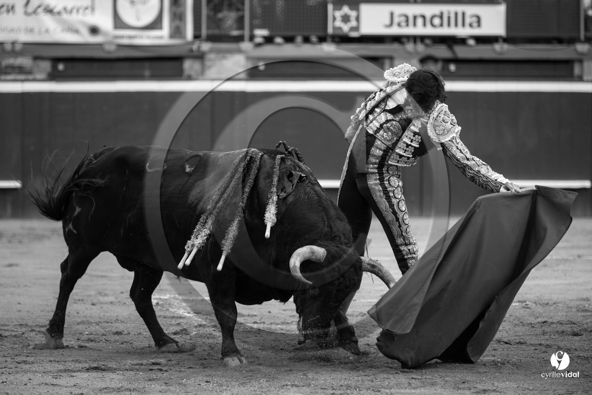 Mont-de-Marsan corrida de Jandilla pour Padilla - Talavante - Roca Rey