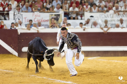 Dax concours landais 2022