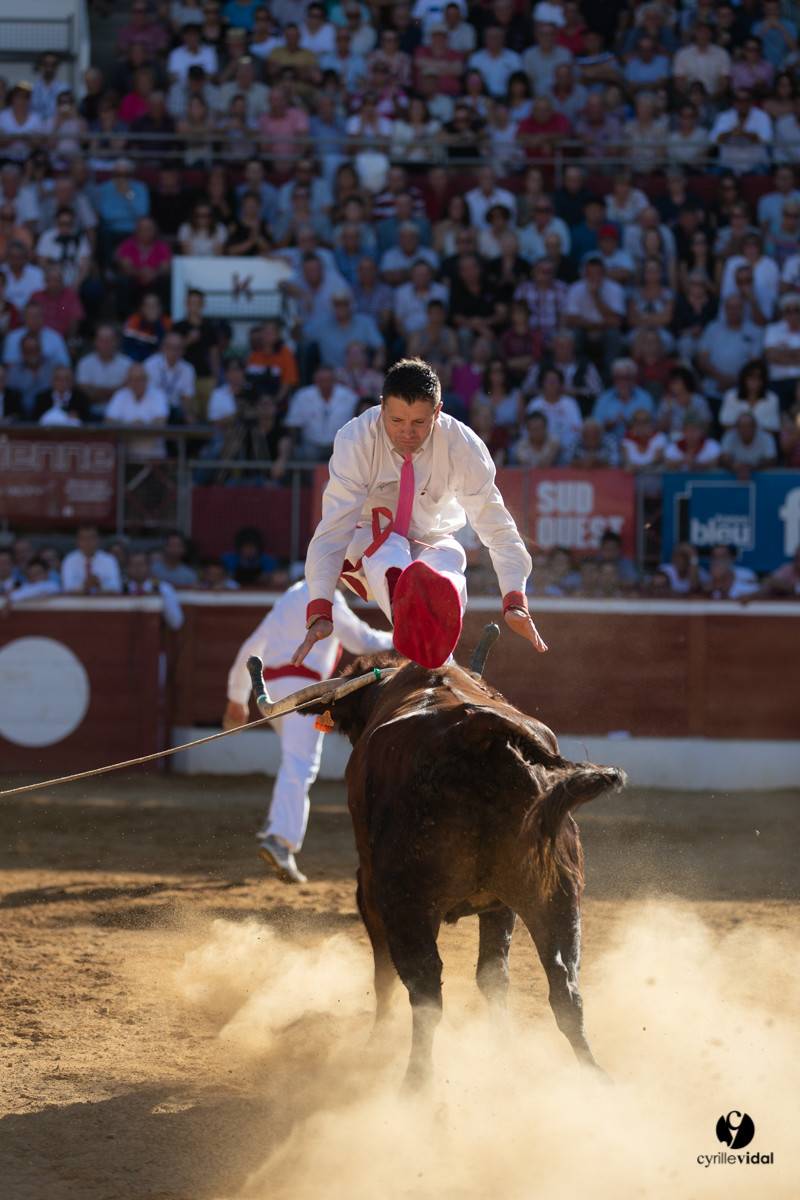 Mont-de-Marsan championnat de France de course landaise 2019