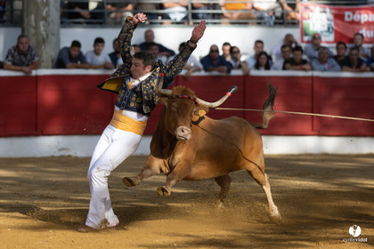 Nogaro Championnat de France de course landaise 2022