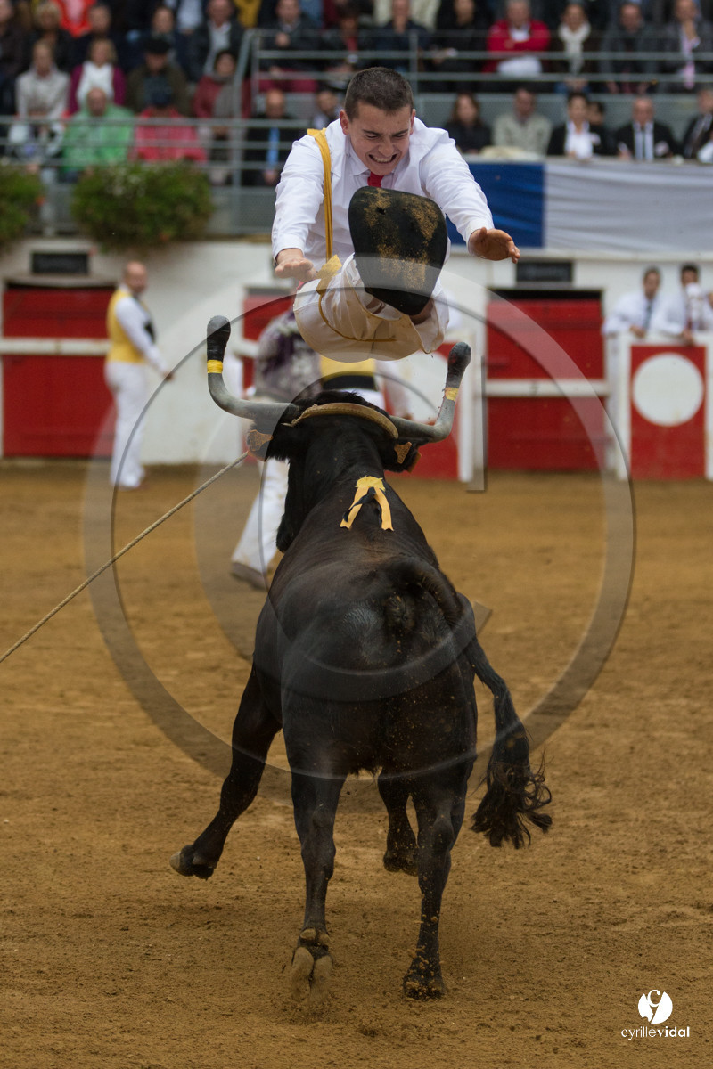 Nogaro Championnatde France de Course Landaise 2017