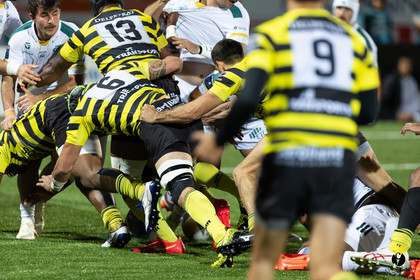 Stade Montois Rugby - Montauban