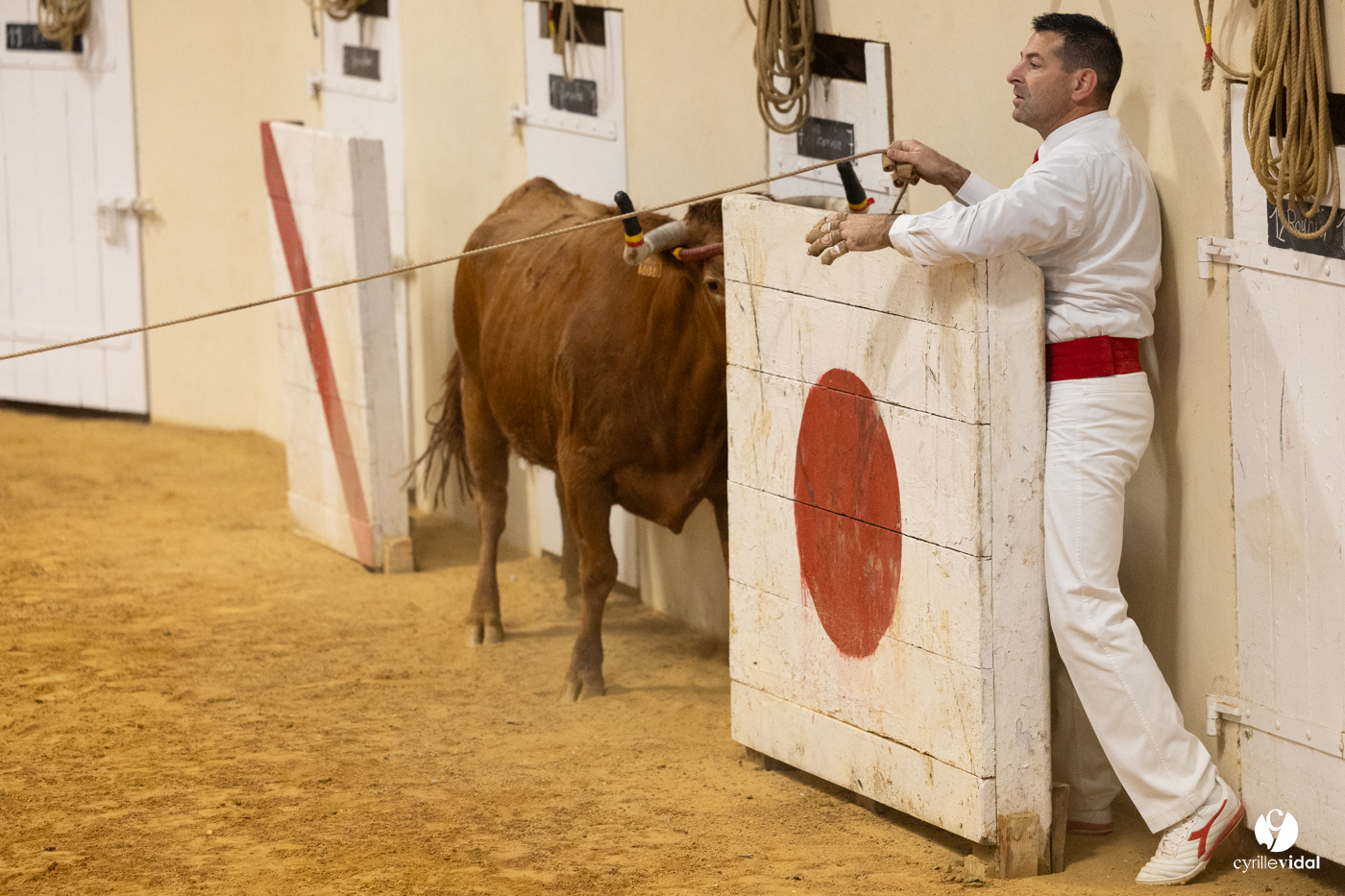 Horsarrieu course landaise du boléro d'Argent