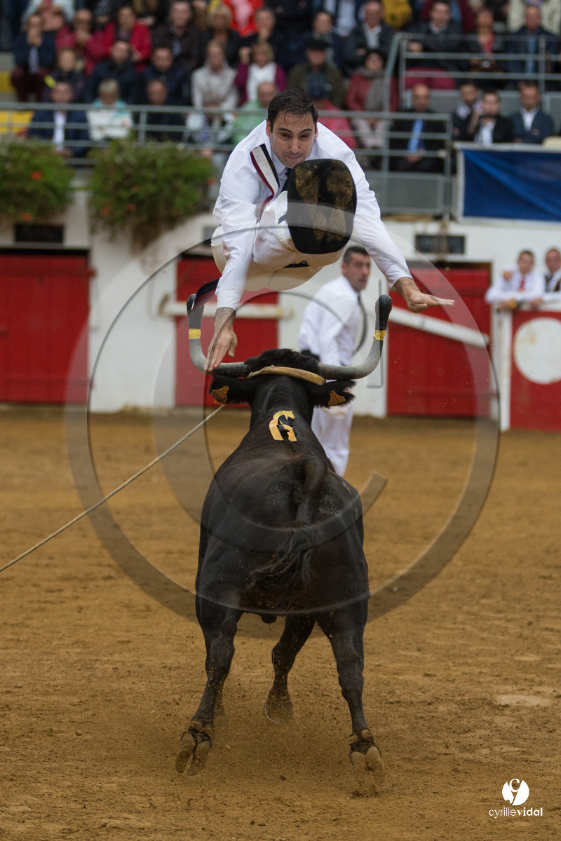 Nogaro Championnatde France de Course Landaise 2017