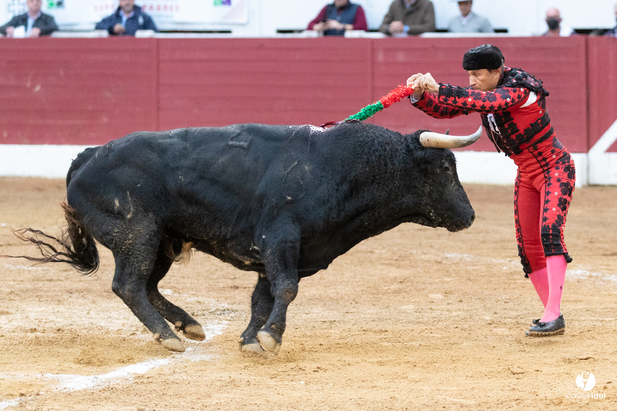 Corrida d'Aire sur l'Adour