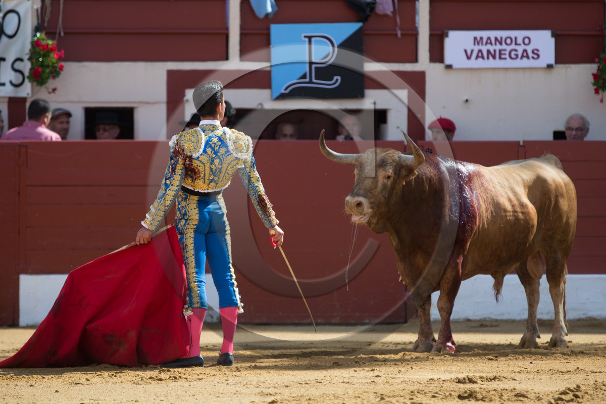 corrida, toro, vic fezensac, alcurrucen, michelito, morenito de aranda