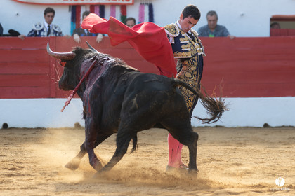 Corrida Aignan