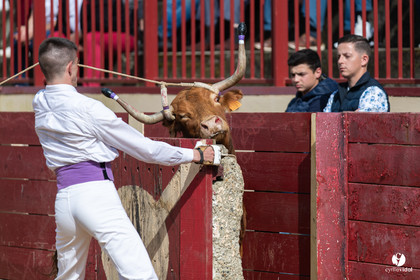 Course landaise Le Houga Ganadéria Dussau Cuadrilla Alexandre Brethes