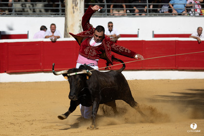 Nogaro Corne d'Or 2023