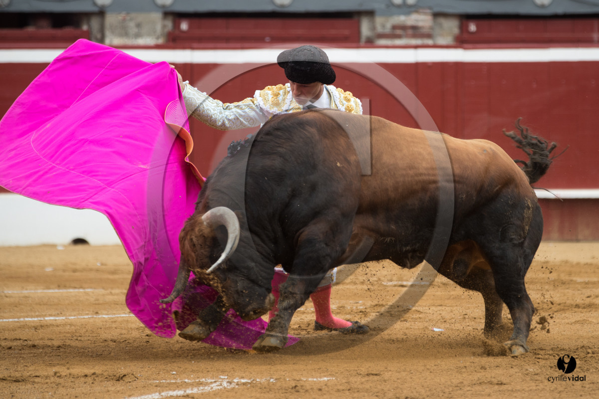 Mont-de-Marsan corrida de Garcigrande pour El Juli et Juan Bautista