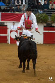Nogaro Championnatde France de Course Landaise 2017