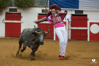 Nogaro Championnatde France de Course Landaise 2017