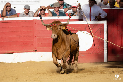 Nogaro Corne d'Or 2023