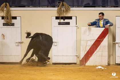 Horsarrieu course landaise du boléro d'Argent