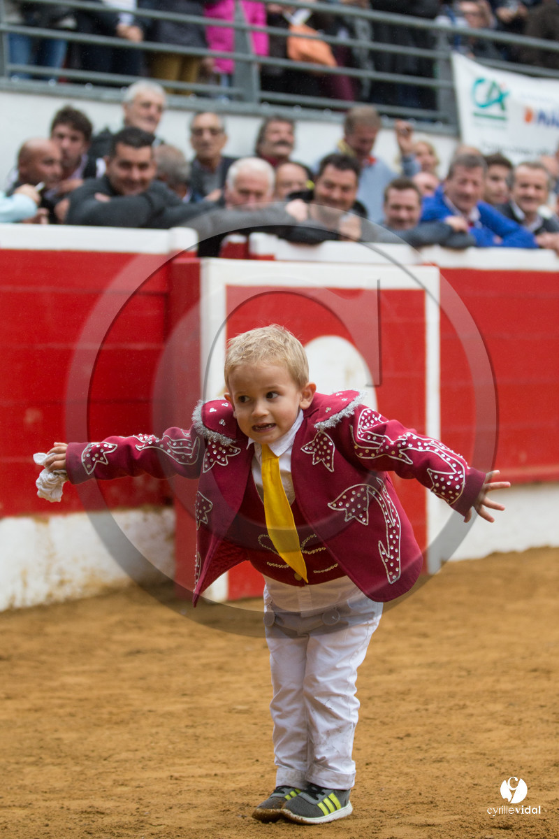 Nogaro Championnatde France de Course Landaise 2017