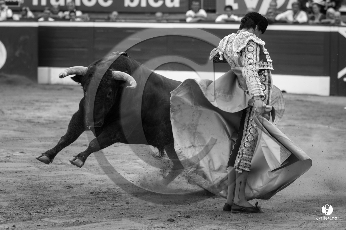Mont-de-Marsan corrida de Jandilla pour Padilla - Talavante - Roca Rey