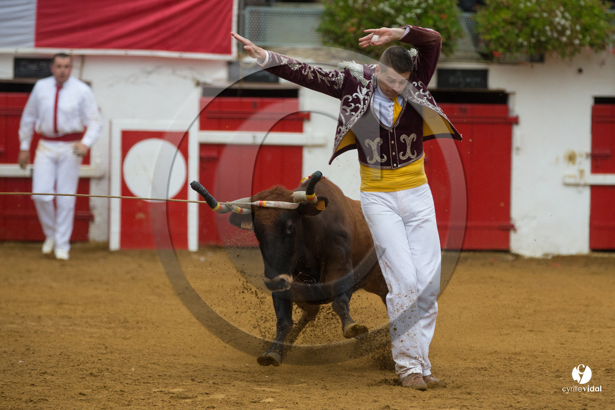 Nogaro Championnatde France de Course Landaise 2017