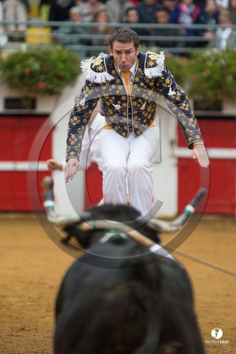 Nogaro Championnatde France de Course Landaise 2017