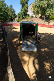 Course landaise à Panjas