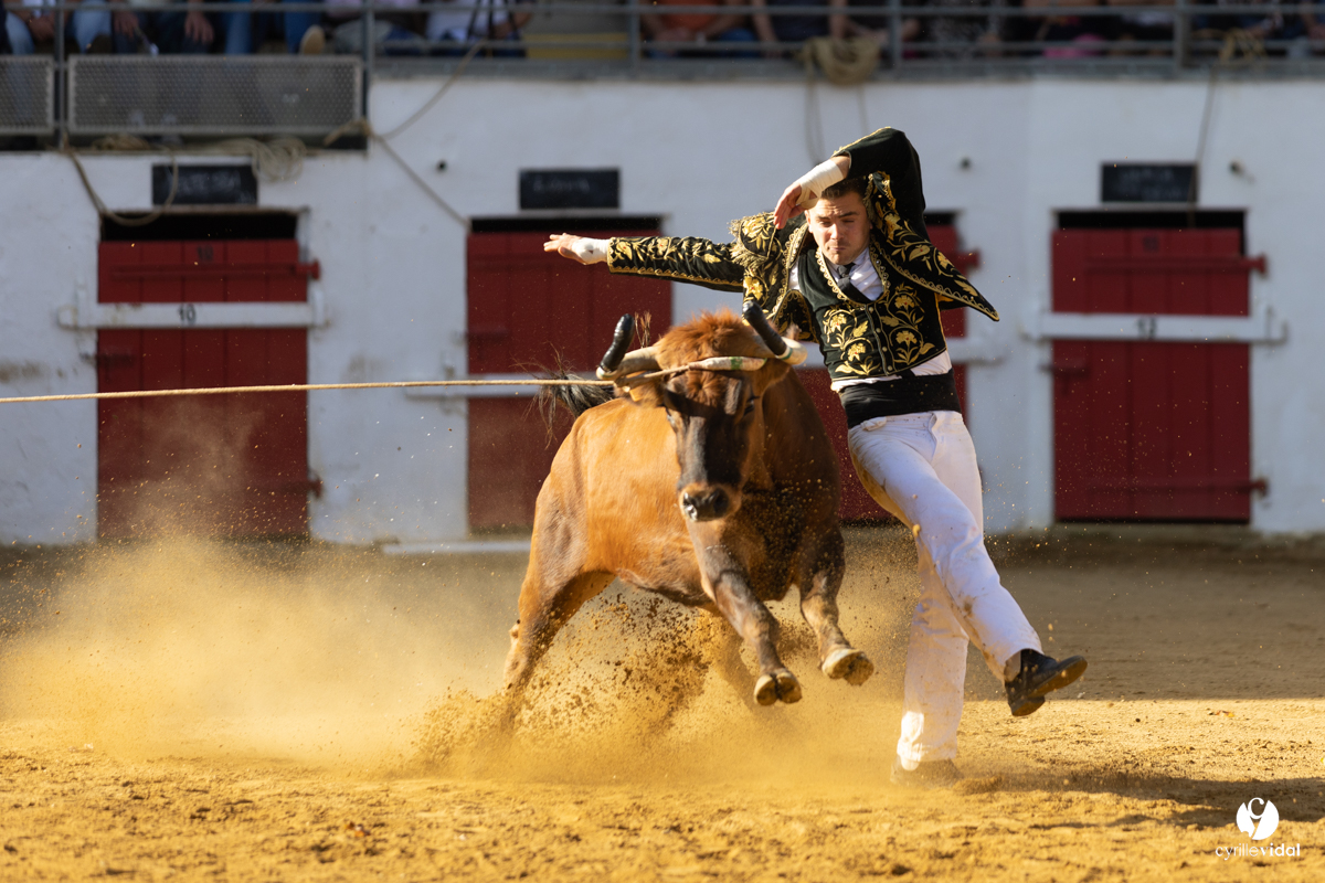 Nogaro Championnat de France de course landaise 2022