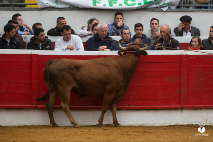 Nogaro Championnatde France de Course Landaise 2017